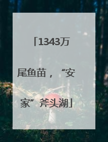 1343万尾鱼苗，“安家”斧头湖