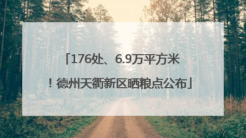 176处、6.9万平方米！德州天衢新区晒粮点公布