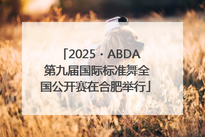 2025・ABDA 第九届国际标准舞全国公开赛在合肥举行