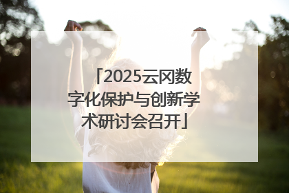 2025云冈数字化保护与创新学术研讨会召开