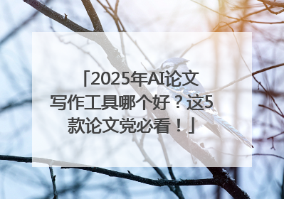 2025年AI论文写作工具哪个好？这5款论文党必看！