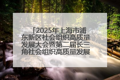 2025年上海市浦东新区社会组织高质量发展大会暨第二届长三角社会组织高质量发展峰会成功举办