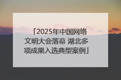 2025年中国网络文明大会落幕 湖北多项成果入选典型案例