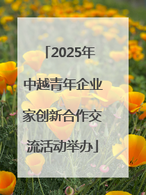2025年中越青年企业家创新合作交流活动举办