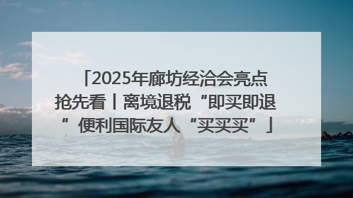 2025年廊坊经洽会亮点抢先看丨离境退税“即买即退”便利国际友人“买买买”