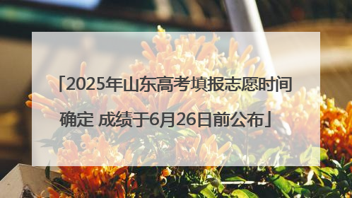 2025年山东高考填报志愿时间确定 成绩于6月26日前公布