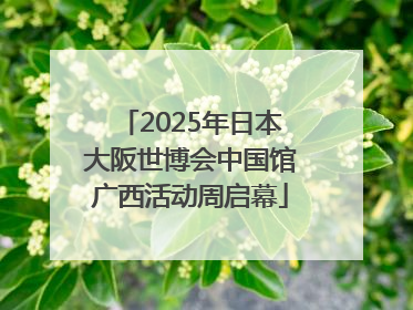 2025年日本大阪世博会中国馆广西活动周启幕