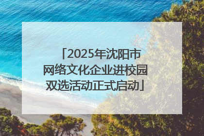 2025年沈阳市网络文化企业进校园双选活动正式启动
