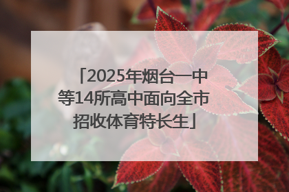 2025年烟台一中等14所高中面向全市招收体育特长生