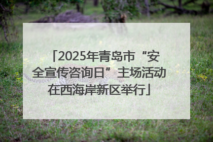 2025年青岛市“安全宣传咨询日”主场活动在西海岸新区举行
