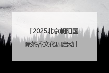 2025北京朝阳国际茶香文化周启动