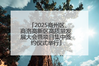 2025商州区、商洛高新区高质量发展大会暨项目集中签约仪式举行