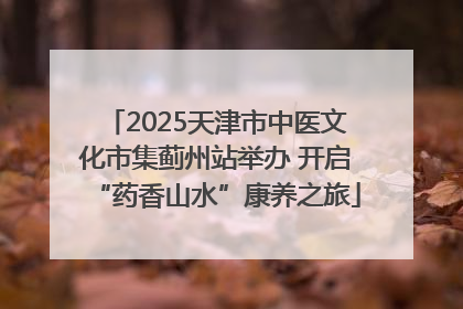 2025天津市中医文化市集蓟州站举办 开启“药香山水”康养之旅
