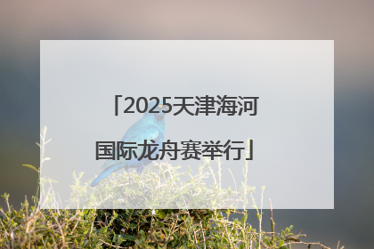 2025天津海河国际龙舟赛举行