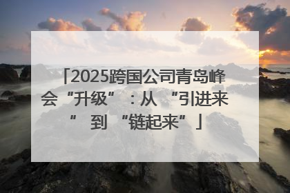 2025跨国公司青岛峰会“升级”：从 “引进来” 到 “链起来”