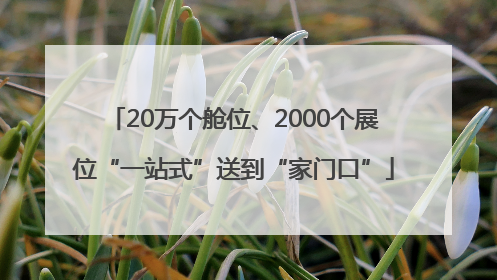 20万个舱位、2000个展位“一站式”送到“家门口”