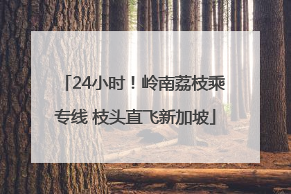 24小时！岭南荔枝乘专线 枝头直飞新加坡