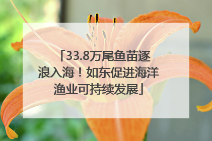 33.8万尾鱼苗逐浪入海！如东促进海洋渔业可持续发展