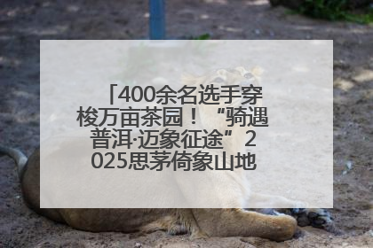 400余名选手穿梭万亩茶园！“骑遇普洱·迈象征途”2025思茅倚象山地自行车赛圆满举行