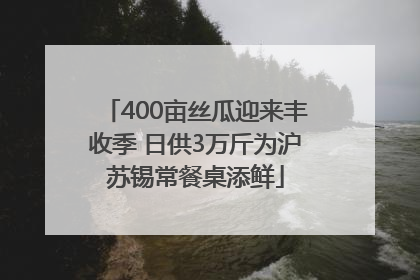 400亩丝瓜迎来丰收季 日供3万斤为沪苏锡常餐桌添鲜