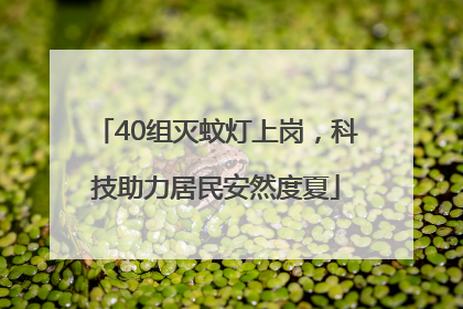 40组灭蚊灯上岗，科技助力居民安然度夏