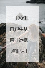 70头白犀牛从南非运抵卢旺达
