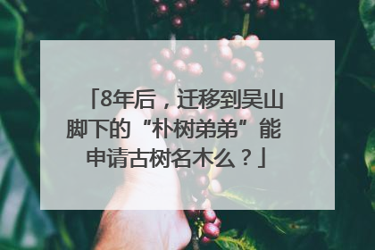8年后，迁移到吴山脚下的“朴树弟弟”能申请古树名木么？