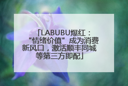 LABUBU爆红：“情绪价值”成为消费新风口，激活顺丰同城等第三方即配