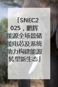 SNEC2025，鹏辉能源全场景储能电芯及系统助力构建能源转型新生态